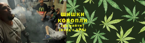 гашик Белокуриха