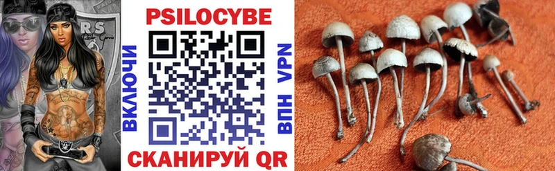 Галлюциногенные грибы мицелий  Болотное 